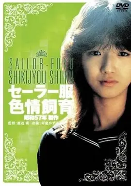 山海拾遗 国风动漫在线观看